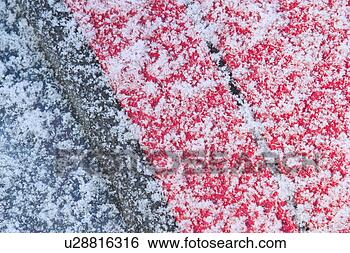Stock Photo - season, snow, 
blizzard, freeze, 
snowfall, cold. 
fotosearch - search 
stock photos, 
pictures, images, 
and photo clipart