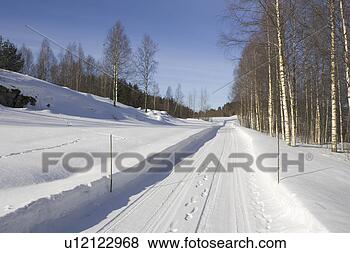 Stock Photo - bare tree, branch, 
clear sky, day, 
footprint. fotosearch 
- search stock 
photos, pictures, 
images, and photo 
clipart