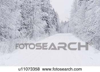 Stock Photo - bare tree, forest, 
frozen, land. 
fotosearch - search 
stock photos, 
pictures, images, 
and photo clipart