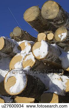 Stock Photo - blue, clear sky, 
close-up, day, 
firewood. fotosearch 
- search stock 
photos, pictures, 
images, and photo 
clipart