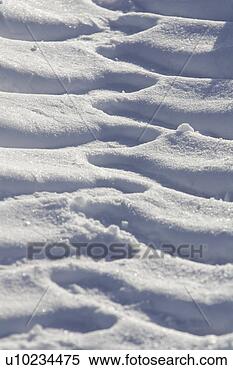 Stock Image - close-up, cold, 
day, full frame. 
fotosearch - search 
stock photos, 
pictures, images, 
and photo clipart