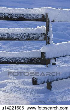 Stock Image - close-up, covering, 
day, fence, frozen. 
fotosearch - search 
stock photos, 
pictures, images, 
and photo clipart