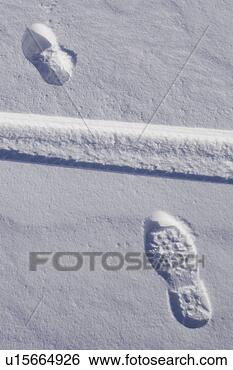 Stock Photo - close-up, day, 
footprint, ice. 
fotosearch - search 
stock photos, 
pictures, images, 
and photo clipart