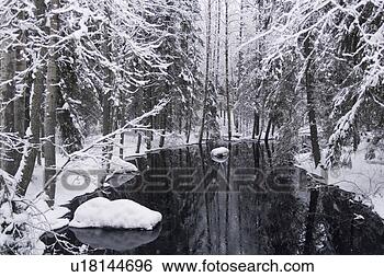 Stock Photo - cold, covering, 
day, generic location. 
fotosearch - search 
stock photos, 
pictures, images, 
and photo clipart