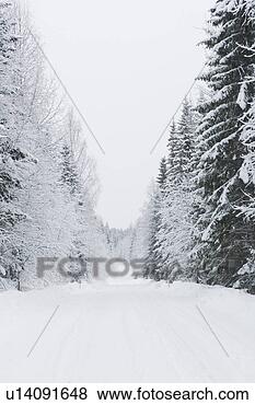 Stock Photo - covering, day, 
forest, outdoors. 
fotosearch - search 
stock photos, 
pictures, images, 
and photo clipart