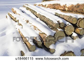 Stock Image - covering, day, 
heap, large group 
of objects. fotosearch 
- search stock 
photos, pictures, 
images, and photo 
clipart