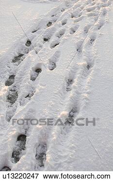 Picture - day, footprint, 
outdoors. fotosearch 
- search stock 
photos, pictures, 
images, and photo 
clipart
