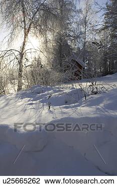 Stock Photo - day, forest, hut, 
non-urban scene. 
fotosearch - search 
stock photos, 
pictures, images, 
and photo clipart
