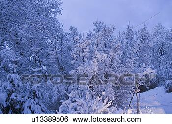Stock Photo - day, generic location, 
non-urban scene. 
fotosearch - search 
stock photos, 
pictures, images, 
and photo clipart