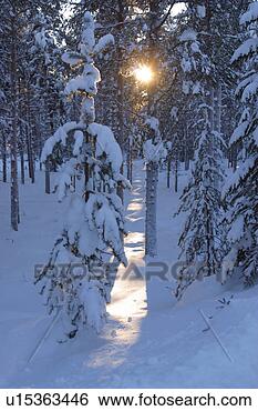 Stock Photo - storm, winter, 
snow, blizzard, 
freeze, autumn. 
fotosearch - search 
stock photos, 
pictures, images, 
and photo clipart