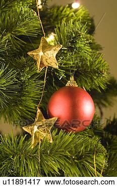 Picture - christmas,  christmas 
ornament,  christmas 
ornaments,  decoration. 
fotosearch - search 
stock photos, 
pictures, images, 
and photo clipart