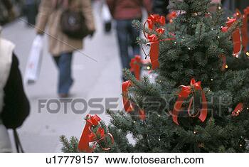 Picture - stephansplatz, 
 advent,  austria, 
 calf,  christmas, 
 christmas. fotosearch 
- search stock 
photos, pictures, 
images, and photo 
clipart