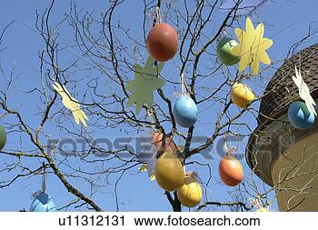 Stock Photography - baumast, berne, 
blue, branches, 
branches of tree, 
burgdorf. fotosearch 
- search stock 
photos, pictures, 
images, and photo 
clipart