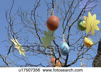 Stock Photo - baumast, berne, 
blue, branches, 
branches of tree, 
burgdorf. fotosearch 
- search stock 
photos, pictures, 
images, and photo 
clipart