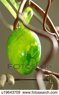 Stock Photograph - berne, branches, 
burgdorf, decoration, 
easter, easter 
eggs. fotosearch 
- search stock 
photos, pictures, 
images, and photo 
clipart