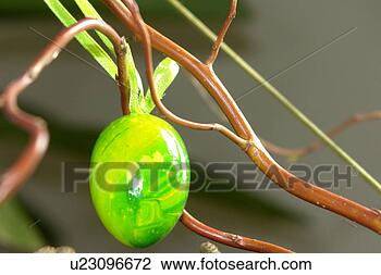 Stock Photo - berne, branches, 
burgdorf, decoration, 
easter, easter 
eggs. fotosearch 
- search stock 
photos, pictures, 
images, and photo 
clipart