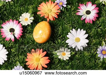 Picture - bloom, easter, 
blossom, abloom. 
fotosearch - search 
stock photos, 
pictures, images, 
and photo clipart