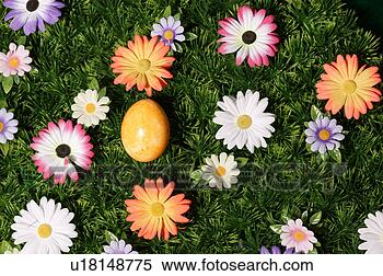 Stock Image - bloom, easter, 
blossom, abloom. 
fotosearch - search 
stock photos, 
pictures, images, 
and photo clipart