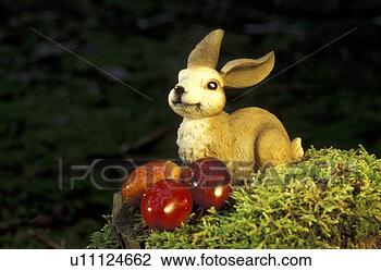Stock Photo - bunny, close-up, 
close, aichner. 
fotosearch - search 
stock photos, 
pictures, images, 
and photo clipart