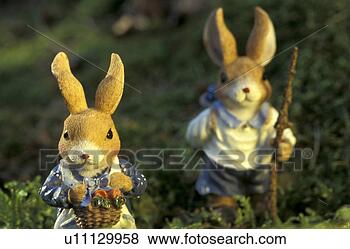 Stock Photo - bunny, day, close-up, 
close, aichner. 
fotosearch - search 
stock photos, 
pictures, images, 
and photo clipart