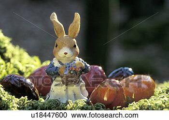 Stock Photography - bunny, day, close-up, 
close, aichner. 
fotosearch - search 
stock photos, 
pictures, images, 
and photo clipart