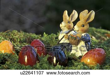 Picture - bunny, day, close-up, 
close, aichner. 
fotosearch - search 
stock photos, 
pictures, images, 
and photo clipart