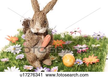 Stock Photography - carrot, bloom, 
bunny, brown, 
blossom, abloom. 
fotosearch - search 
stock photos, 
pictures, images, 
and photo clipart
