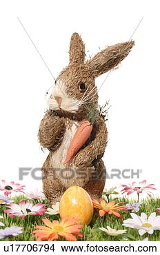 Stock Photo - carrot, bloom, 
bunny, brown, 
blossom, abloom. 
fotosearch - search 
stock photos, 
pictures, images, 
and photo clipart