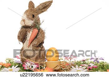 Stock Photo - carrot, bloom, 
bunny, brown, 
blossom, abloom. 
fotosearch - search 
stock photos, 
pictures, images, 
and photo clipart