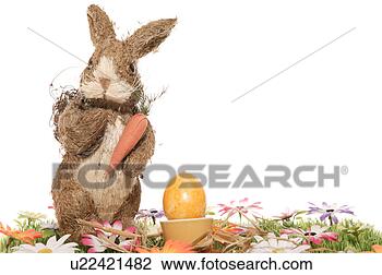 Stock Photo - carrot, bloom, 
bunny, brown, 
blossom, abloom. 
fotosearch - search 
stock photos, 
pictures, images, 
and photo clipart