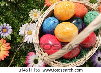 Stock Image - close, basket, 
brown, blossom, 
bloom, abloom. 
fotosearch - search 
stock photos, 
pictures, images, 
and photo clipart