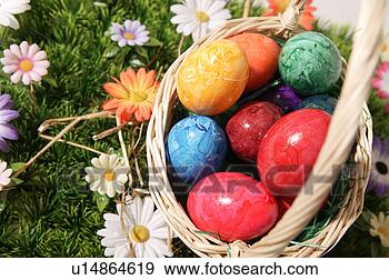 Stock Photograph - close, basket, 
brown, blossom, 
bloom, abloom. 
fotosearch - search 
stock photos, 
pictures, images, 
and photo clipart