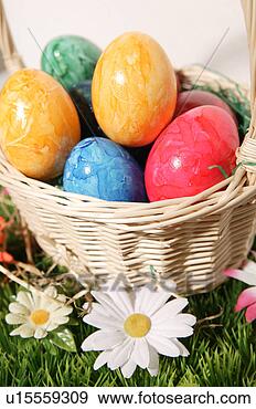 Stock Photograph - close, basket, 
brown, blossom, 
bloom, abloom. 
fotosearch - search 
stock photos, 
pictures, images, 
and photo clipart