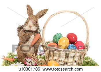 Stock Photo - close-up, birds-nest, 
close, blossom, 
bloom, abloom. 
fotosearch - search 
stock photos, 
pictures, images, 
and photo clipart