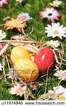 Stock Photo - close-up, birds-nest, 
close, blossom, 
bloom, abloom. 
fotosearch - search 
stock photos, 
pictures, images, 
and photo clipart