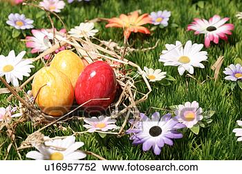 Stock Photo - close-up, birds-nest, 
close, blossom, 
bloom, abloom. 
fotosearch - search 
stock photos, 
pictures, images, 
and photo clipart