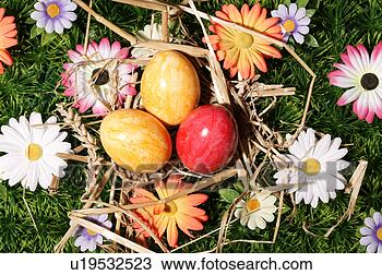 Stock Photo - close-up, birds-nest, 
close, blossom, 
bloom, abloom. 
fotosearch - search 
stock photos, 
pictures, images, 
and photo clipart