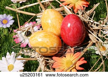 Stock Photography - close-up, birds-nest, 
close, blossom, 
bloom, abloom. 
fotosearch - search 
stock photos, 
pictures, images, 
and photo clipart