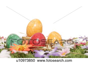 Stock Photography - cup, bloom, close-up, 
close, blossom, 
abloom. fotosearch 
- search stock 
photos, pictures, 
images, and photo 
clipart