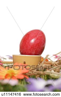 Stock Photo - cup, bloom, close-up, 
close, blossom, 
abloom. fotosearch 
- search stock 
photos, pictures, 
images, and photo 
clipart