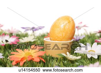Stock Photography - cup, bloom, close-up, 
close, blossom, 
abloom. fotosearch 
- search stock 
photos, pictures, 
images, and photo 
clipart