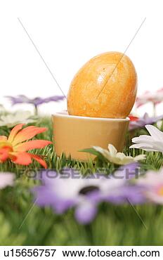 Picture - cup, bloom, close-up, 
close, blossom, 
abloom. fotosearch 
- search stock 
photos, pictures, 
images, and photo 
clipart