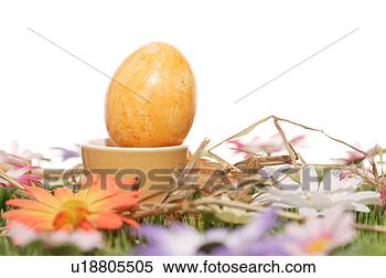 Stock Image - cup, bloom, close-up, 
close, blossom, 
abloom. fotosearch 
- search stock 
photos, pictures, 
images, and photo 
clipart