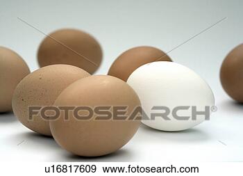 Stock Photograph - decoration, background, 
brown, bowl, beige, 
easter, amount. 
fotosearch - search 
stock photos, 
pictures, images, 
and photo clipart