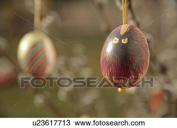 Stock Photo - weide, strauß, 
strauss, anika, 
animal, art. fotosearch 
- search stock 
photos, pictures, 
images, and photo 
clipart