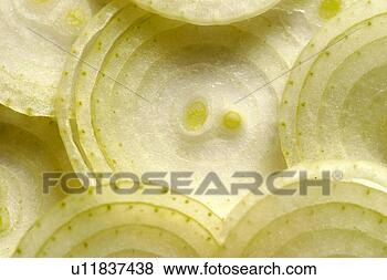 Stock Photo - allium, bolle, 
background, austria, 
alfred. fotosearch 
- search stock 
photos, pictures, 
images, and photo 
clipart
