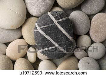 Stock Photograph - background,  beach, 
 beautiful,  decoration, 
 decorative,  
design. fotosearch 
- search stock 
photos, pictures, 
images, and photo 
clipart