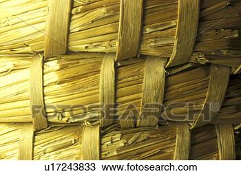 Stock Photo - background, beige, 
bernhard, brown, 
close, close-up. 
fotosearch - search 
stock photos, 
pictures, images, 
and photo clipart