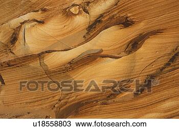 Stock Photo - background, beige, 
bernhard, brown, 
cow, day. fotosearch 
- search stock 
photos, pictures, 
images, and photo 
clipart