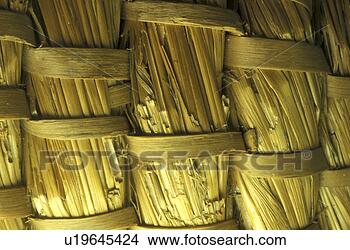 Stock Photo - background, beige, 
bernhard, brown, 
close, close-up. 
fotosearch - search 
stock photos, 
pictures, images, 
and photo clipart